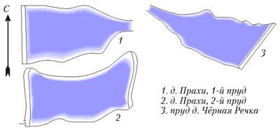 Зеркала прудов (схемы)