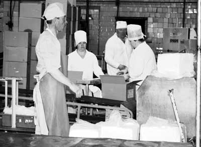 В цехе цельномолочной продукции Яранского КМП