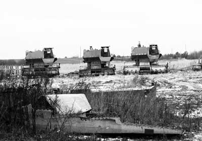 Старые Нивы