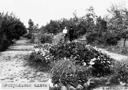 Центральная аллея