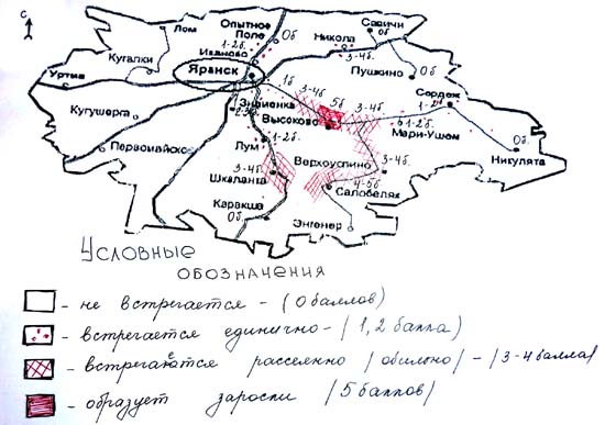 Распространение борщевика